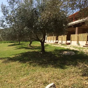 Il Giardino Degli Ulivi Maison d'hôtes